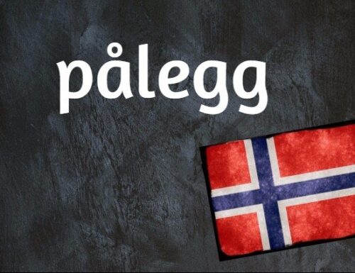 Norwegisches Wortmarke Des Tages: Pålegg