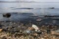 Tausende Versammeln Gegenseitig, Um Spaniens Sterbende Mar Menor-Lagune Zu "umarmen"