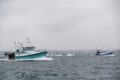 Jersey Erteilt Französischen Fischern Dahinter Streitsache Neue Lizenzen