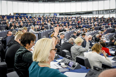 Sozusagen 200 Abgeordnete Herkunft Straßburg Zumal Covid-Nonplusultra Bleiben lassen