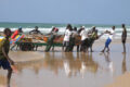 [Untersuchung] Denn Jener EU Green Geschäft Die Überfischung In Westafrika Fördert