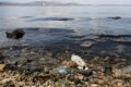 Mar Menor: Spanien Enthüllt Ziel Zur Revival Jener Krisengeschüttelten Lagune
