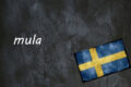 Schwedisches Fachausdruck Des Tages: Mula