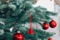 Leserfrage: Wie Entsorge Ich Meinen Weihnachtsbaum In Zürich?