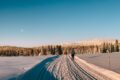 Vinterferie: Welches Jene durch Norwegens Winterurlaub Daten Sollen