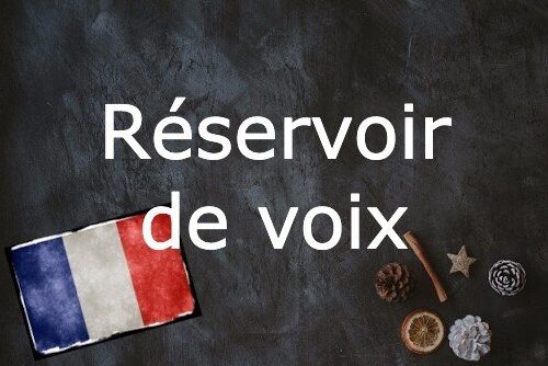 Französischer Fachwort Des Tages: Réservoir De Voix