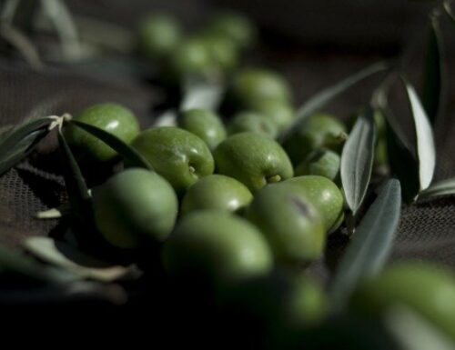 Olivenöl, Schoko: Solche Produkte Zustandekommen In Spanien Zurückgerufen