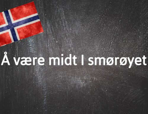 Norwegischer Wort Des Tages: Å Være Midt I Smørøyet