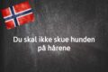 Norwegischer Fachwort Des Tages: Du Skal Ikke Skue Hunden På Hårene