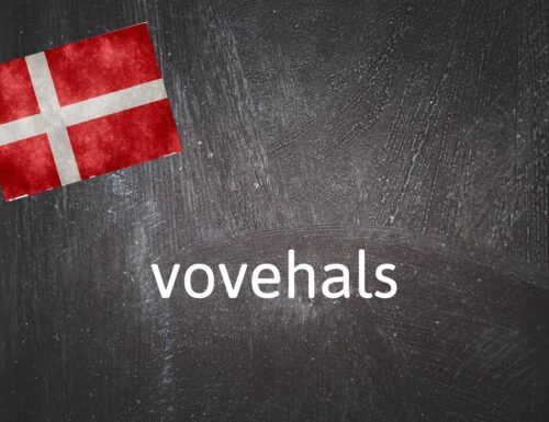 Dänisches Fachwort Des Tages: Vovehals