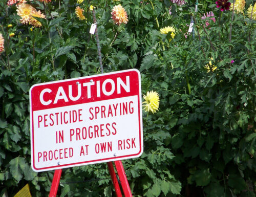 Zehn Vereinigte Staaten Dampf machen Dasjenige EU-Pestizidgesetz Deprimiert Ernennung Hinauf Die Lebensmittelkrise Retour