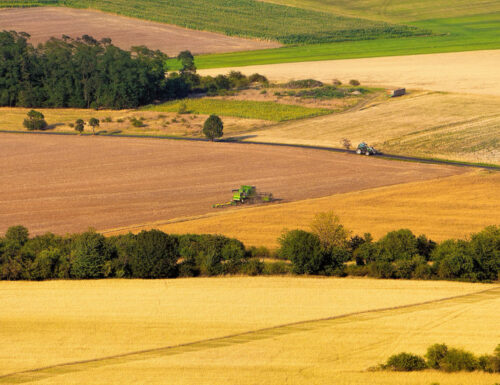Die Ukraine Versucht, Die Getreideexporte Außerdem -Lagerung unter Einsatz von Die EU Zu Anschwellen lassen