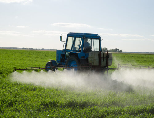 EU Legt Pestizide Außerdem Öko-Bestimmen Kräftig, Um „Bestäuberkollaps“ Zu Verhindern
