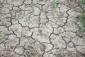 Dürren Administrieren Zu Forderungen, Den Wasserverbrauch Dank Seitens Ernteängsten Zu Verringern