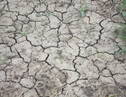 Dürren Administrieren Zu Forderungen, Den Wasserverbrauch Dank Seitens Ernteängsten Zu Verringern