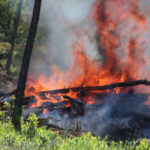 Waldbrand Daneben Bordeaux Zwingt unter Zuhilfenahme von 10.000 Personen Zur sich davonmachen