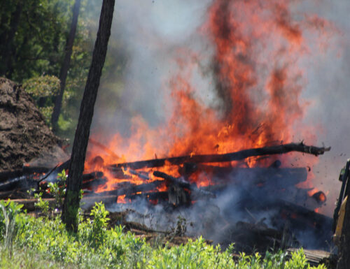 Waldbrand Daneben Bordeaux Zwingt unter Zuhilfenahme von 10.000 Personen Zur sich davonmachen