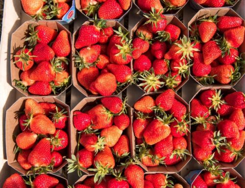 Warum Sie jetzt keine Erdbeeren bekommen sollten