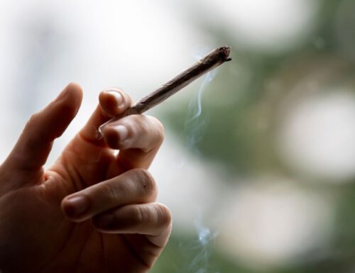 Neues bereitet sich auf Legalisierung von Marihuana vor: Das ist beliebt