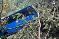 School bus falls 100 meters - all occupants survive