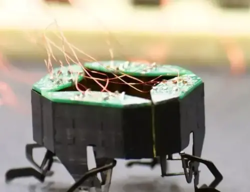 Video Freitag: Squishable Bugbot – IEEE Spectrum